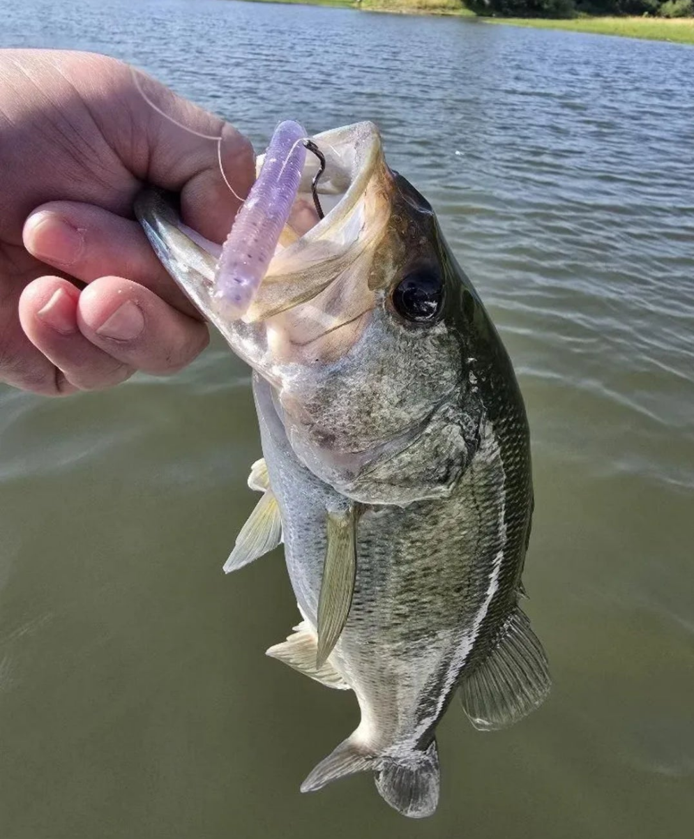 5" Epic Fluke - 6 pack