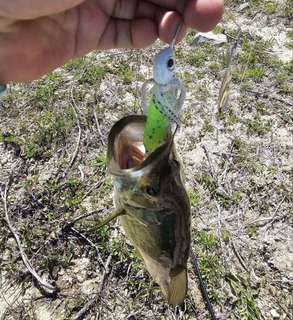 3" Preybait - 10 pack