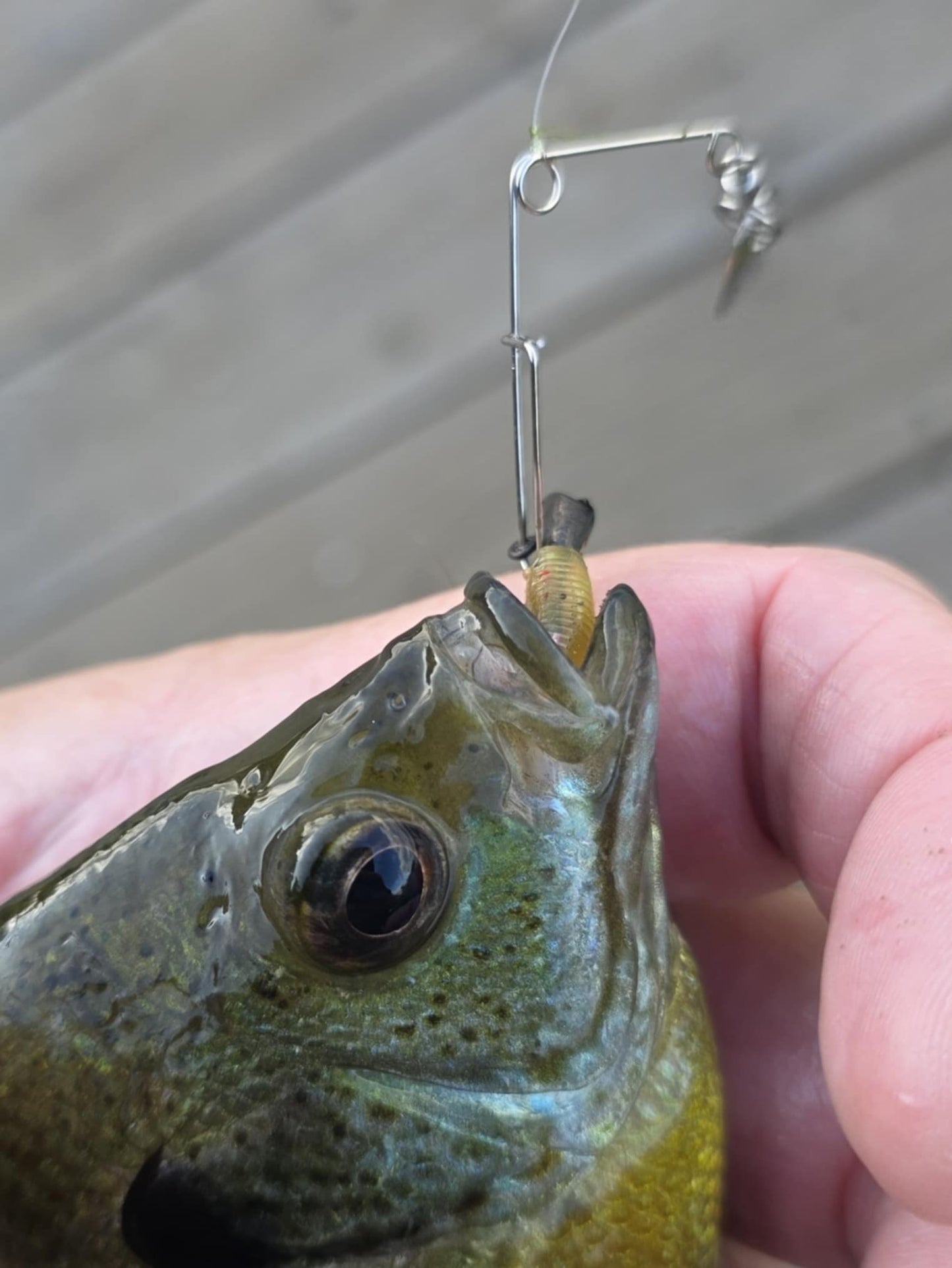 1.2" Crappie Crusher - 28 pack